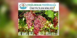 Verigo Festivali yapılıyor