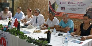 10. Ozanköy Pekmez Festivali cuma günü başlıyor