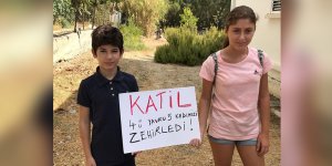 Boğaz’da kediler zehirlendi!