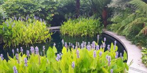 7 bin 253 bitki projesini barındırıyor…