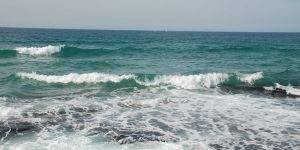 Sahilde erkek cesedi