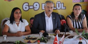 Tatlısu, festivalle renklenecek