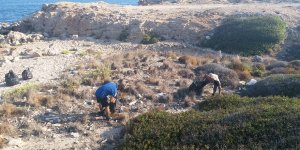 Karaoğlanoğlu'ndaki Riviera Bölgesi'nde temizlik