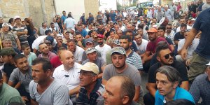 HAYVANCI-HÜKÜMET UZLAŞTI!