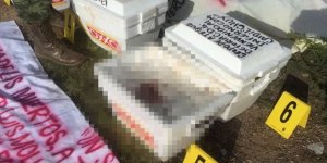 Soğutucudan 6 insan başı çıktı