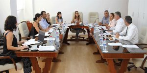 Hukuk, Siyasi İşler ve Dışilişkiler Komitesi toplandı