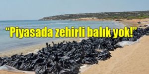 Bakan Sennaroğlu iddiaları yalanladı…