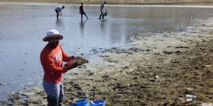 8 bin balık kurtarıldı