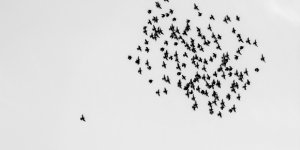 BİZ… ve ‘ÖTEKİ’