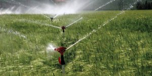 Tarımsal kira müracaat alımları 31 Temmuz’a kadar uzatıldı