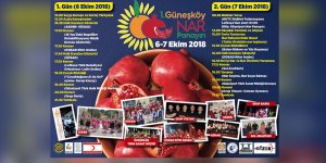 Güneşköy'de " Nar Panayırı" gerçekleştirilecek