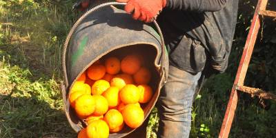 Bin 200 işçinin nasıl getirileceği görüşülüyor