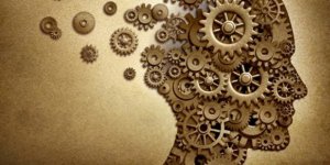 Alıştık çünkü…