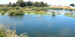  Göletlerdeki doluluk sevindirdi