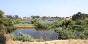 Sulak Alanlar Tüzüğü yeniden incelenecek