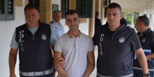 Kundakçı 'turist' 6 ay hapis yatacak