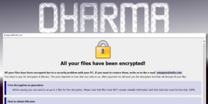 Virüs arşivleri kilitledi