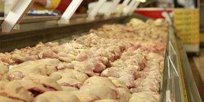 İthal tavuk piyasaya giriyor