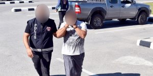 Tavuk çiftliğinde 77 kök Hintkeneviri…