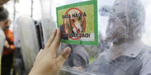 Köpekleri kurtardılar…