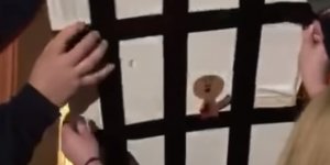 'Alaycı' videoya 5 gözaltı