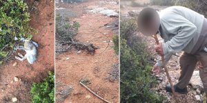 Tel tuzak avcısı yakalandı