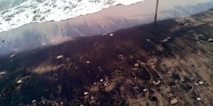 Çevre Dairesi ‘temizledik’ dedi, kirlilik sahile vurdu