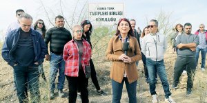 KTTB Ormanı’na fidan dikildi