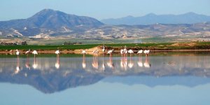 Tuz Gölü'ne 5 yıldızlı otel