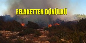 Sadrazamköyde yangın