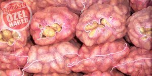 TÜK: Patates satışı devam, soğan yolda