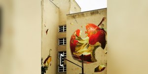 Cenneti Dişlemek yahut Dayatılan Özgürlük