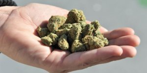 Lüksemburg, esrarı serbest bırakıyor