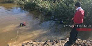 TÜRKİYE'DEN EĞİTİMLİ KÖPEK GELİYOR