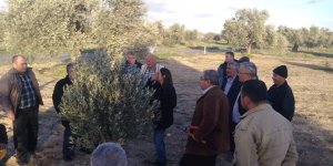 Büyükkonuk'ta üreticilere eğitim verildi