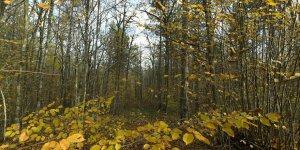 Ankara’da Fotoğraf Sergisi  ve fotoğraf gezisi