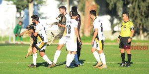 Köpekler sahaya girerse…