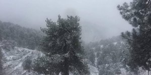 Trodos'da kar kalınlığı yarım metre