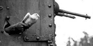 Vicdan reddederken karışan akıllar