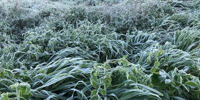 Yarın ve pazar sabah saatlerinde “buzlanma” uyarısı