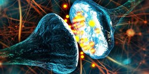 Başarılı diyet için zihnini ‘sihirle’!