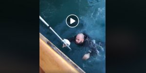 Denize düşen yavru kedi kurtarıldı