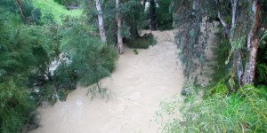 Kanlı Dere takip altında