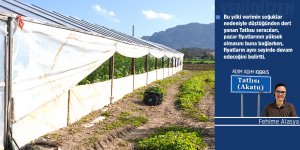 Soğuk hava seraları da vurdu