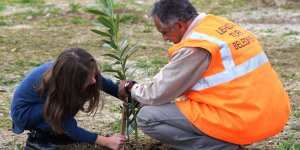 Küçük Kaymaklı 'kayıp'ları için fidan