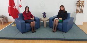 Siber: Meclis iradesi Cumhurbaşkanı’nın üstünde