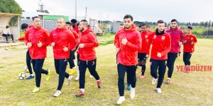 Kolcu kolları sıvadı