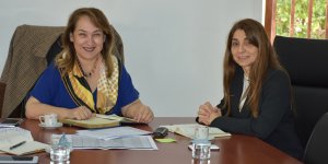 Tıp ve Diş Hekimliğine sınırlama gündemde