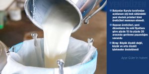 SÜTTE YENİ DÜZENLEME