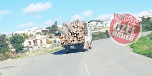 “Orman planlaması doğrultusunda bir çalışma”